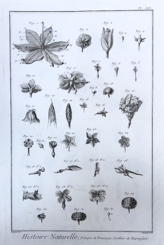 Plantas - Histoire Naturelle, Principes de Botanique, Systeme de Tournefort (Sistema de Tournefort / Taxonomía linneana) - Pl. CIII